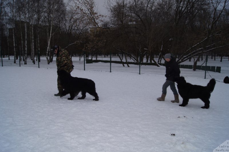 Фотография № 175095