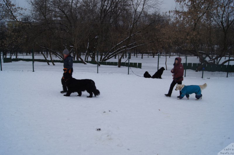 Фотография № 175096