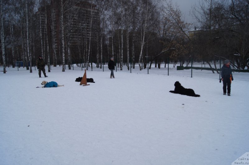 Фотография № 175097