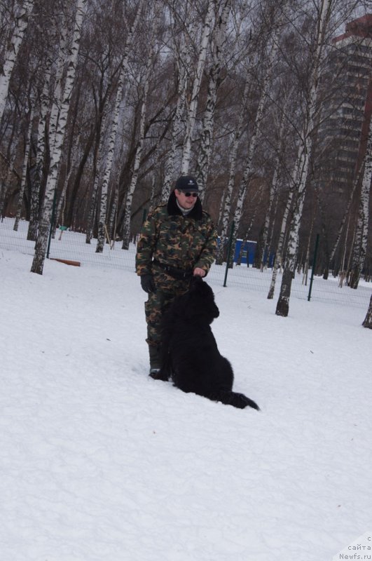 Фотография № 175098