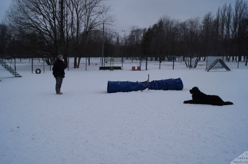 Фотография № 175099