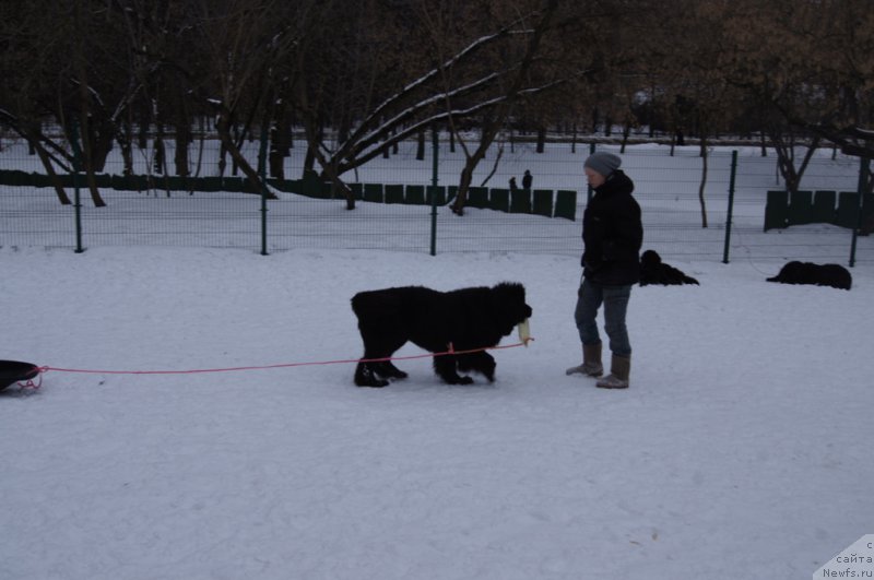 Фотография № 175101