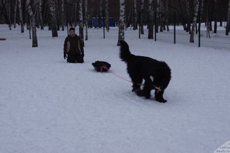 Фотография № 175102