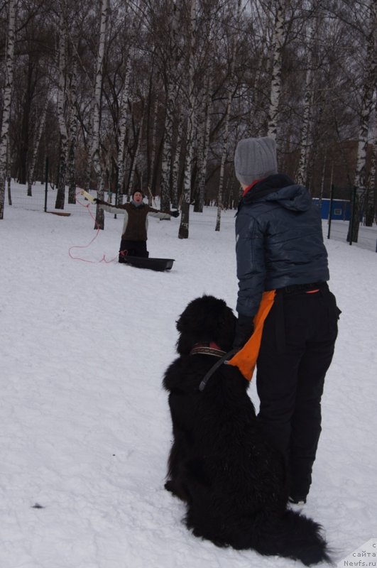 Фотография № 175104