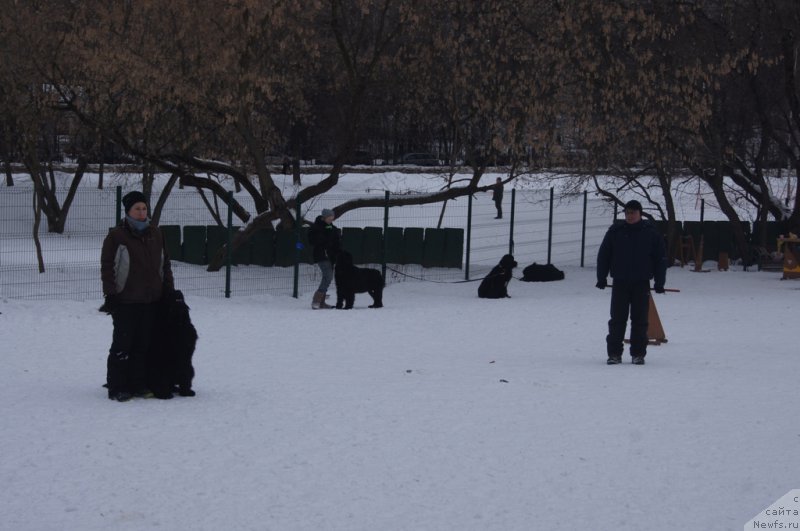 Фотография № 175106