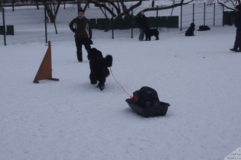 Фотография № 175107