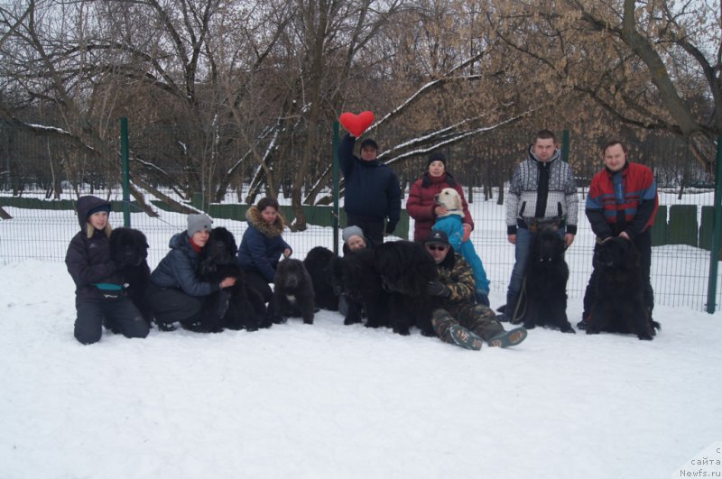 Фотография № 175108