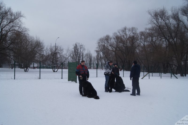 Фотография № 175109