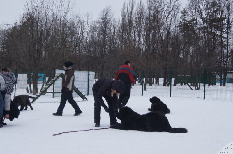 Фотография № 175111