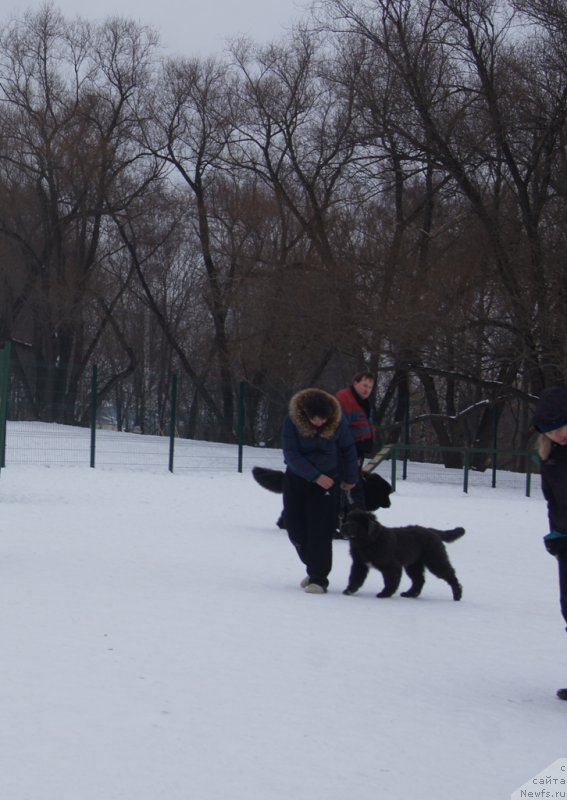 Фотография № 175112