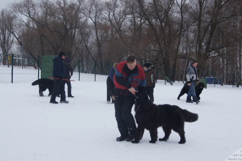 Фотография № 175113