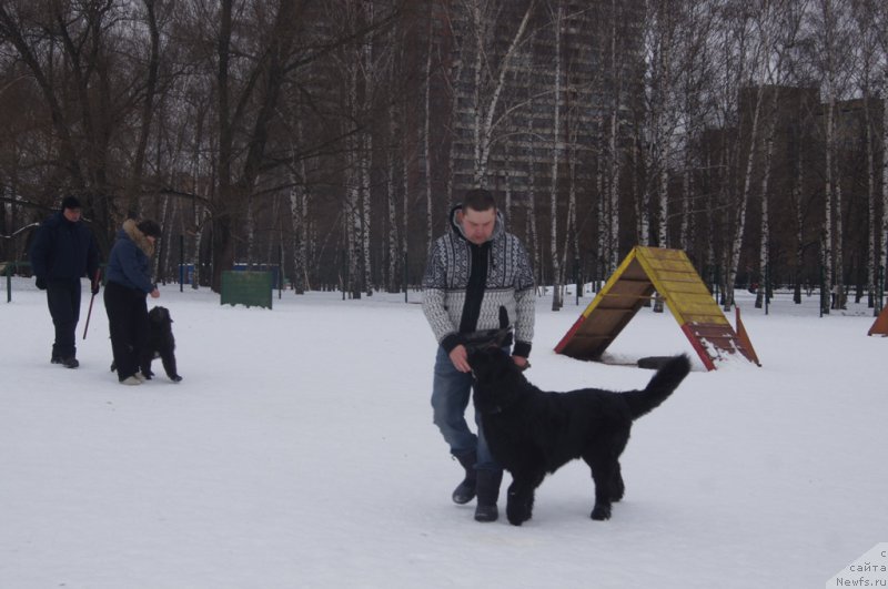 Фотография № 175114