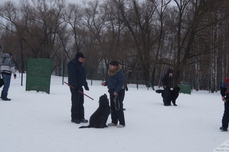 Фотография № 175115