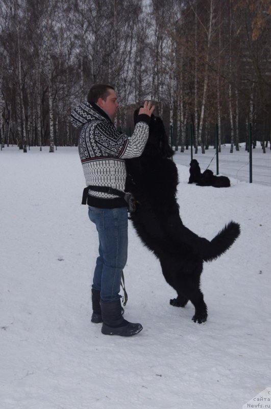 Фотография № 175117