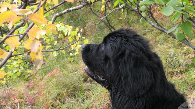 Фотография № 17514