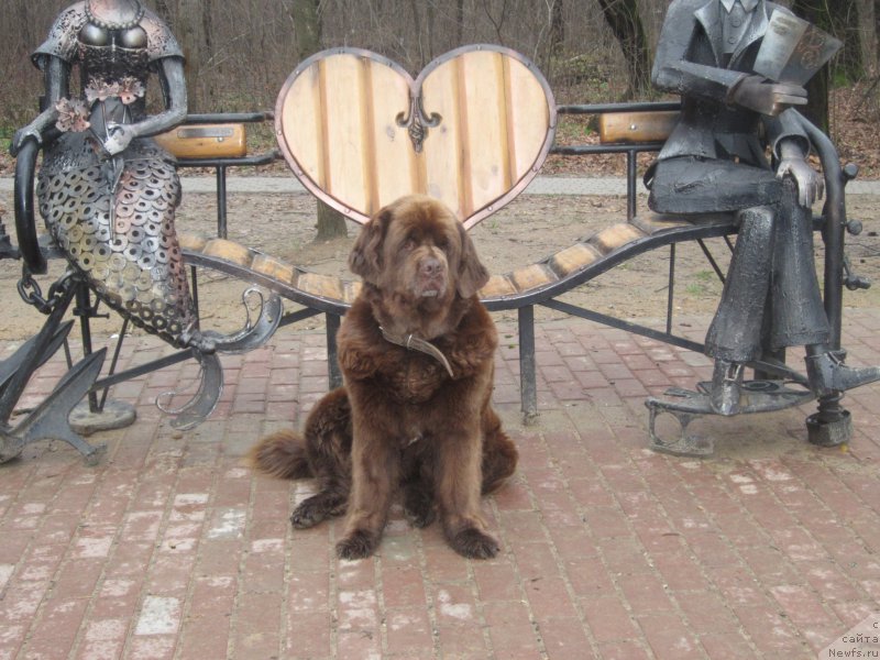 Фотография № 175143