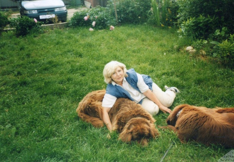 Фотография № 175145