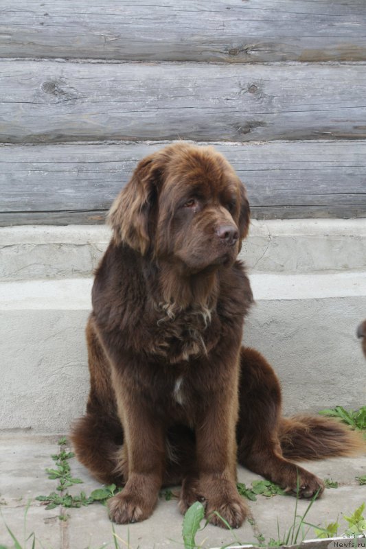 Фотография № 175146