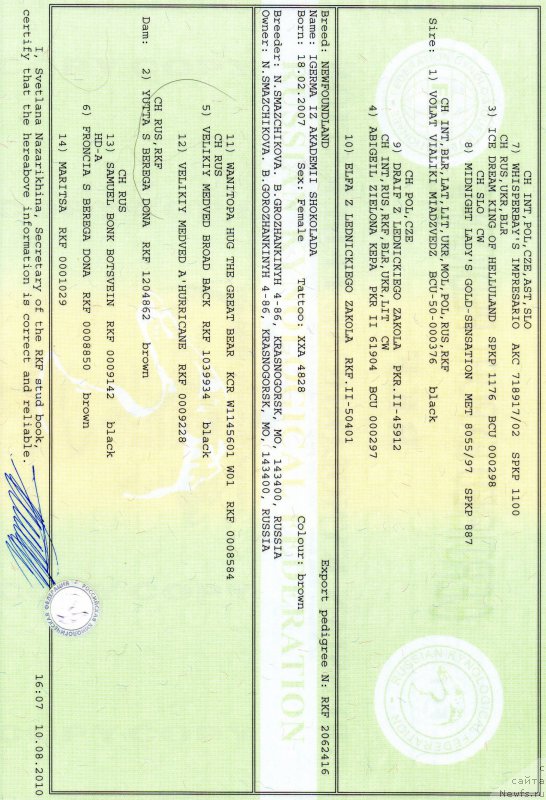 Фото: Наталья Смазчикова