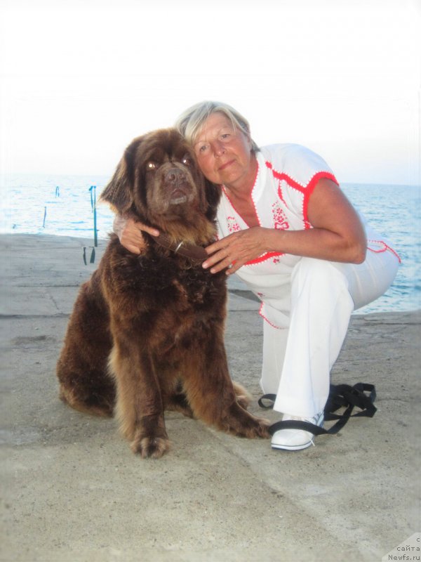 Фотография № 175149