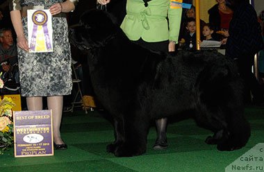 Фотография № 175150