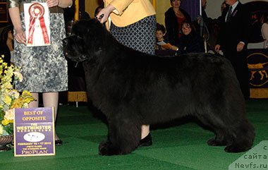 Фотография № 175151