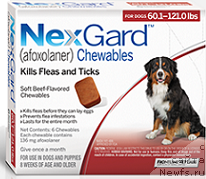 Фотография № 175155