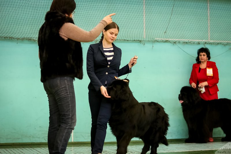 Фотография № 175157