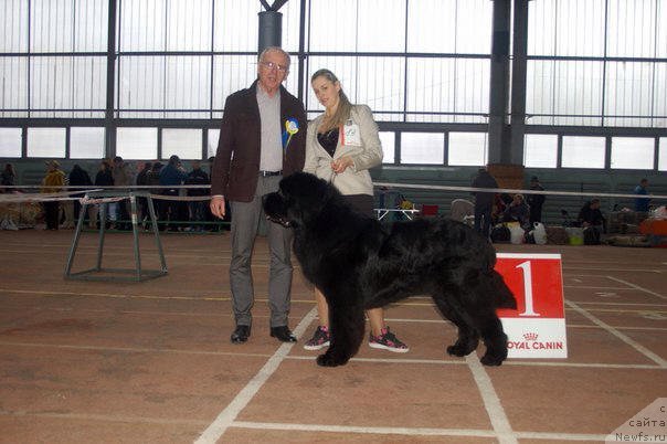 Фотография № 175161