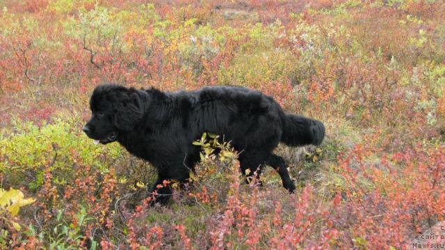 Фотография № 17519