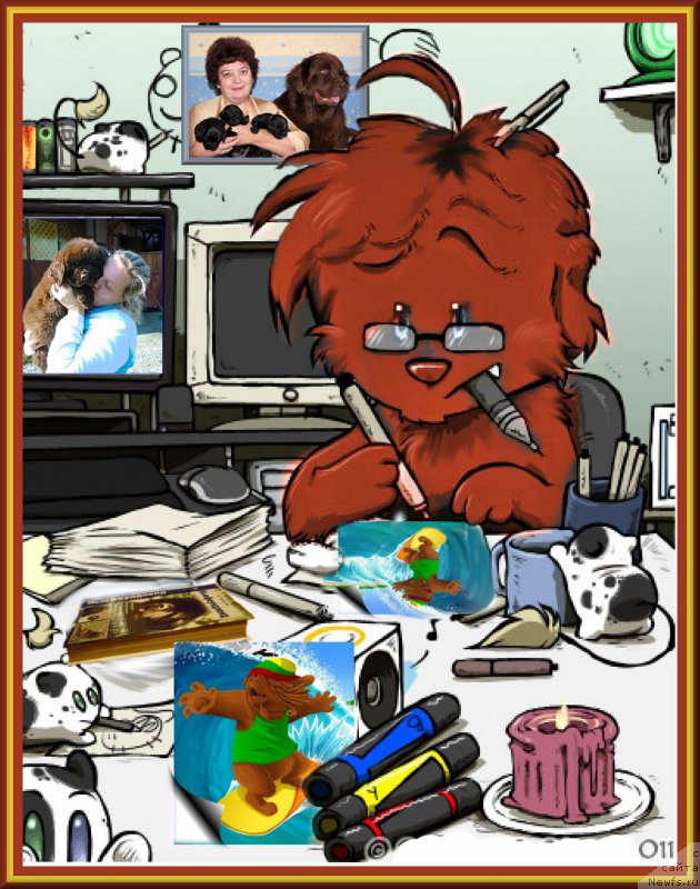 Фото: ньюфаундленд Браунблад МСК Хаким Голд Хайдар (Brownblood MSK Hakim Gold Haydar), ньюфаундленд Великий Медведь Камелия, Елена Шмелева, Лена Зырина