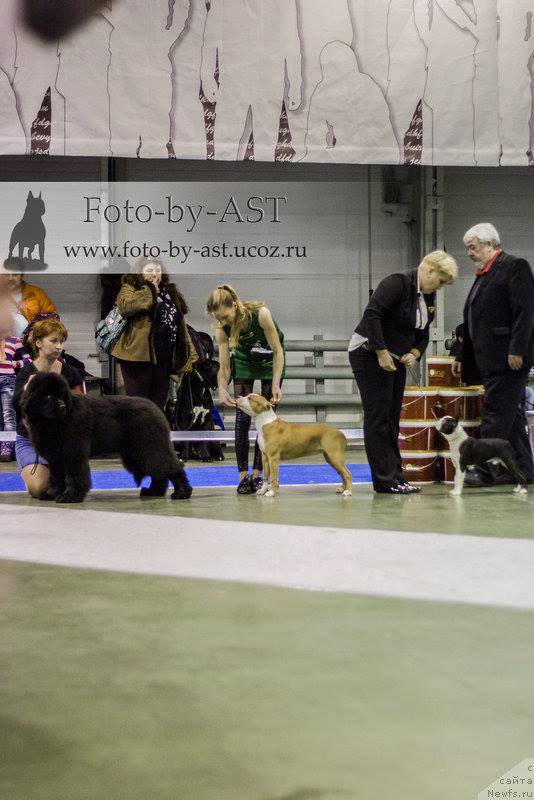 Фотография № 175210