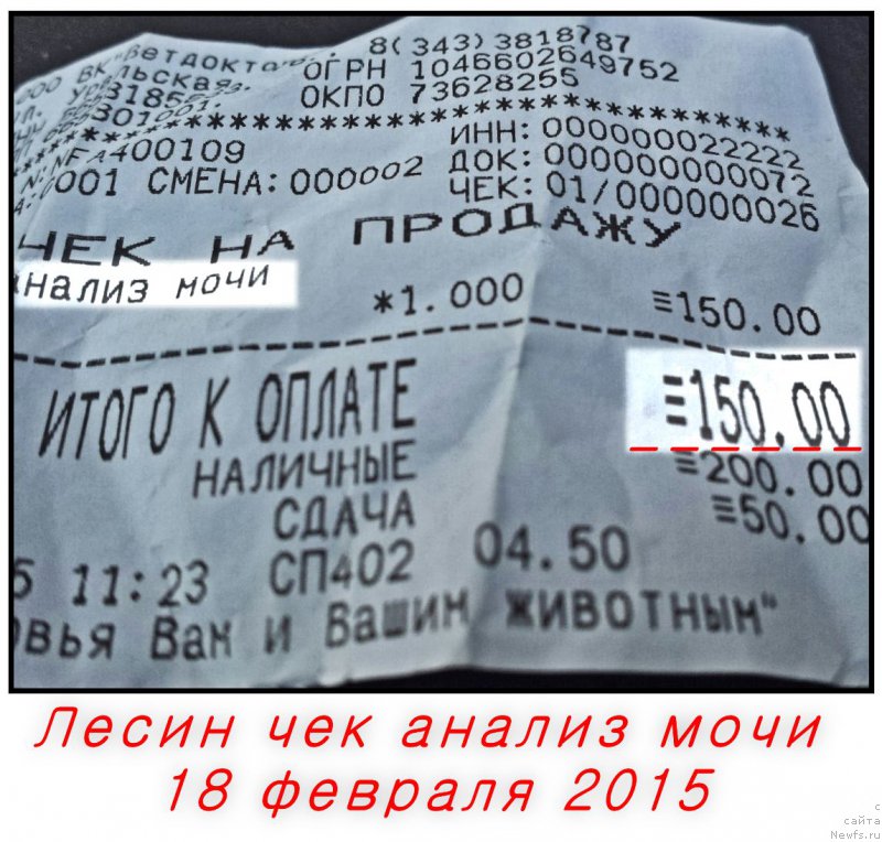 Фотография № 175211