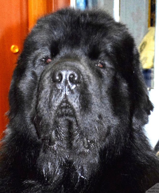 Фото: Роман Билинский