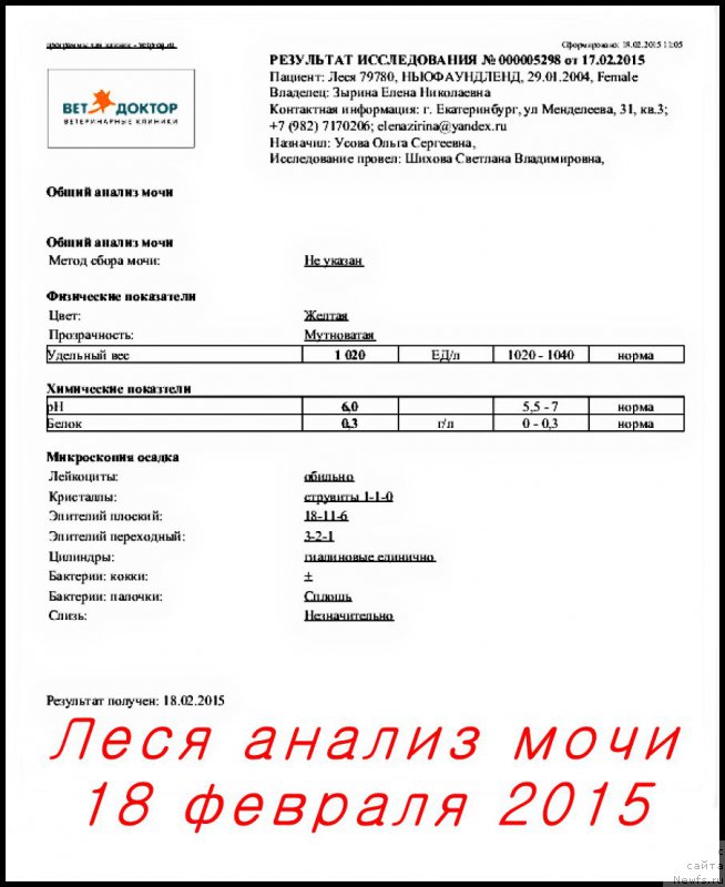 Фотография № 175216