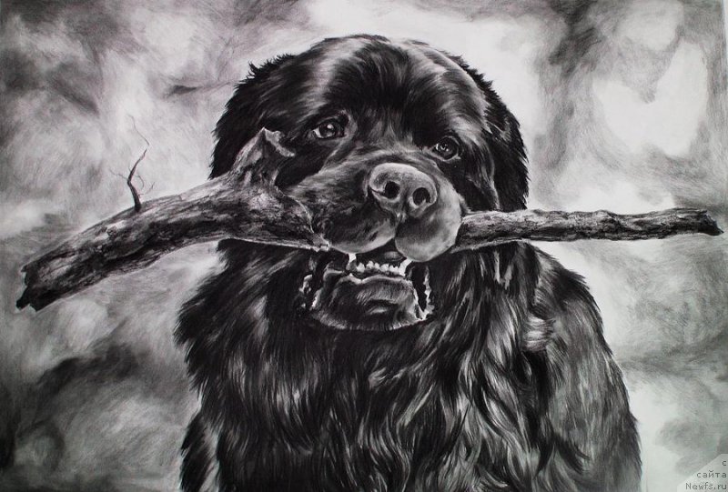 Фотография № 175234