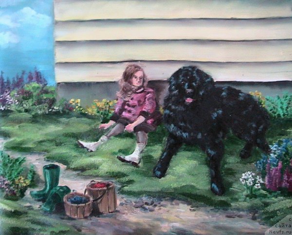 Фотография № 175235