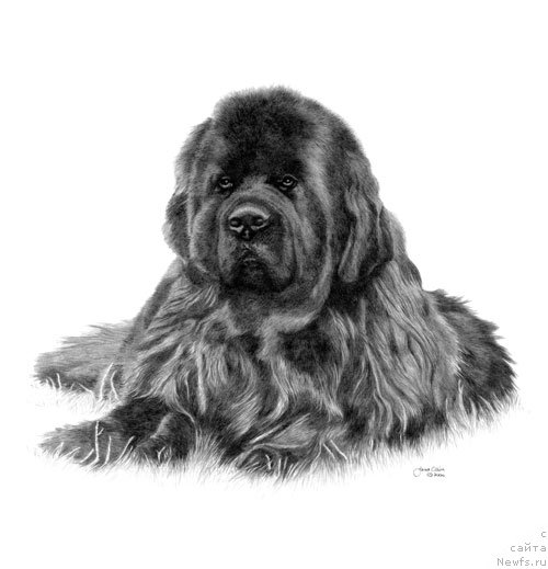 Фотография № 175236