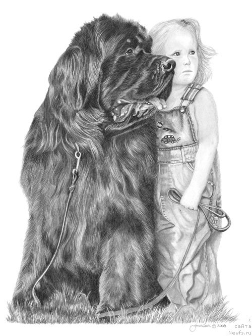 Фотография № 175237