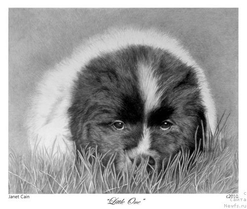 Фотография № 175238