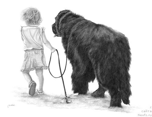 Фотография № 175239