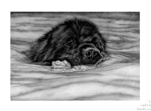 Фотография № 175240