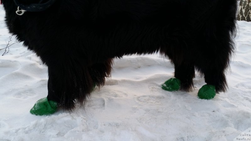 Фотография № 175248