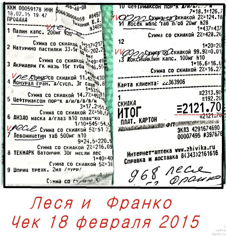 Фото: ньюфаундленд Валенсия Черная Жемчужина