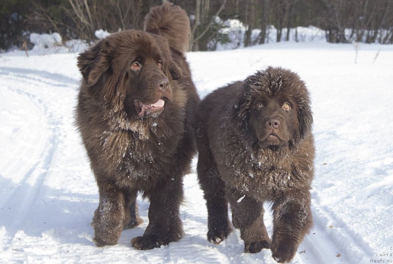 Фотография № 175265