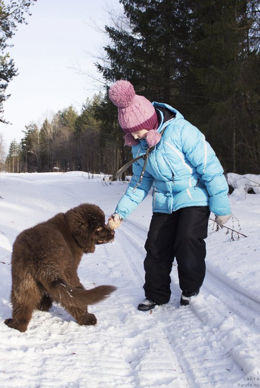 Фотография № 175267