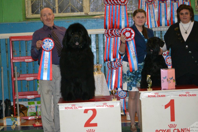 Фотография № 175320