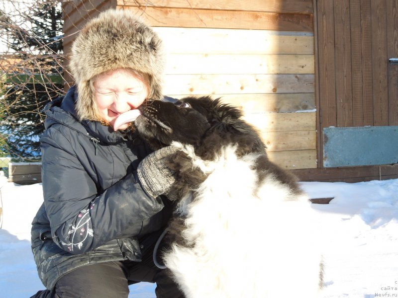 Фотография № 175324