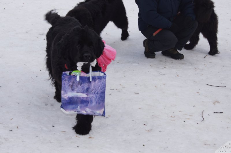 Фотография № 175328