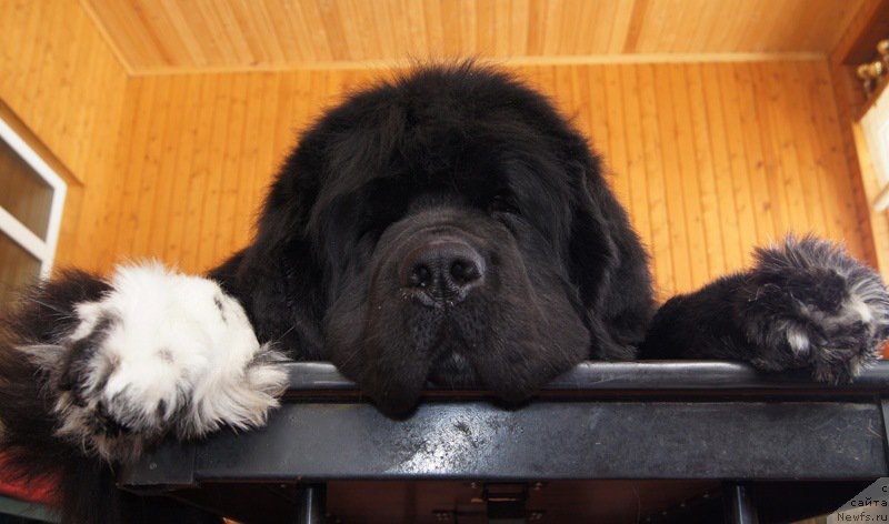 Фотография № 175346